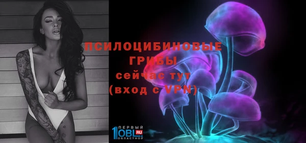 таблы Пестово
