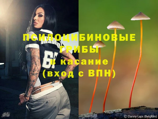 таблы Пестово