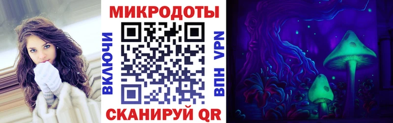 omg сайт  Ахтубинск  Галлюциногенные грибы Psilocybine cubensis 
