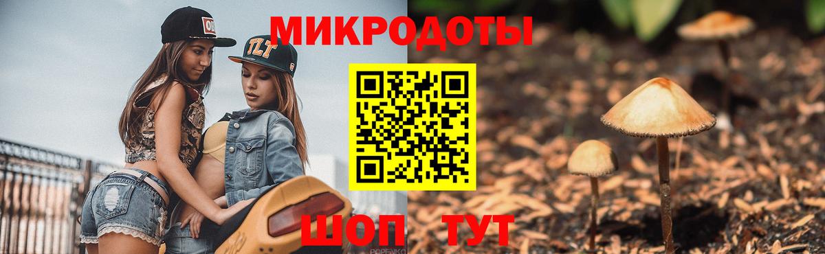 Ахтубинск  Псилоцибиновые грибы Psilocybine cubensis  Вход с VPN  Галлюциногенные грибы Psilocybe 