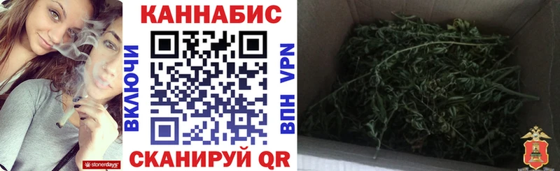 Каннабис Bruce Banner  цена   Ахтубинск 