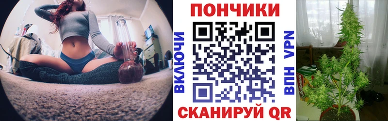 Бошки марихуана THC 21% Ахтубинск